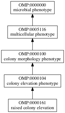 OMP:0000161