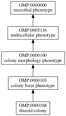 OMP:0000168