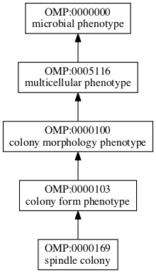 OMP:0000169