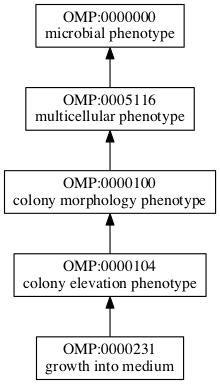 OMP:0000231