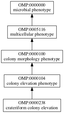 OMP:0000238