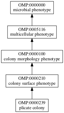 OMP:0000239
