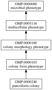 OMP:0000240