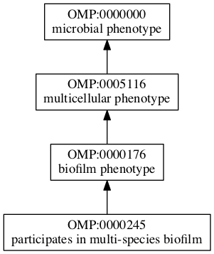 OMP:0000245