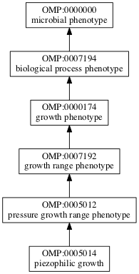 OMP:0005014