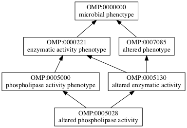 OMP:0005028