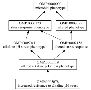OMP:0005078