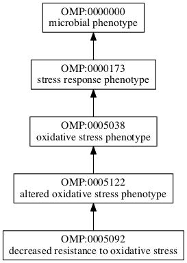 OMP:0005092