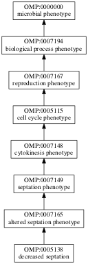 OMP:0005138