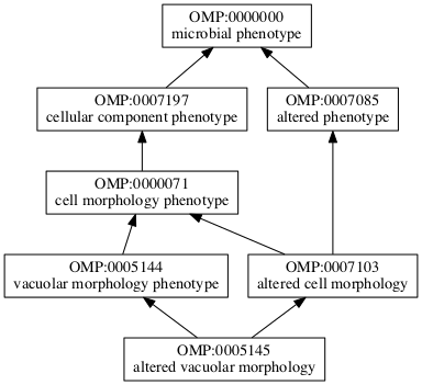 OMP:0005145