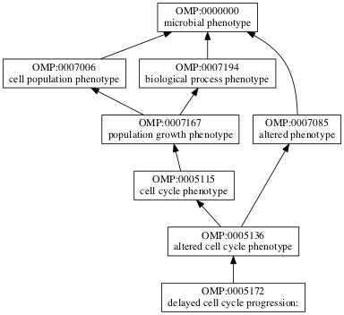 OMP:0005172