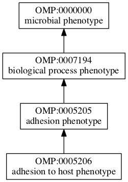 OMP:0005206
