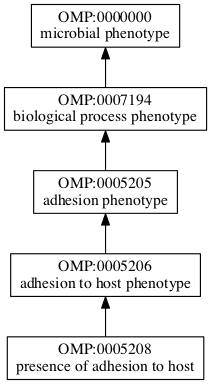 OMP:0005208