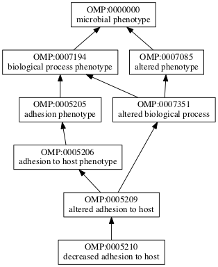 OMP:0005210