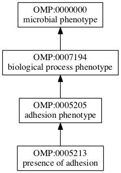 OMP:0005213