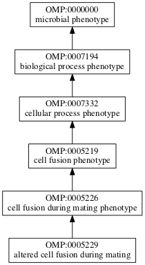 OMP:0005229
