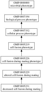 OMP:0005231