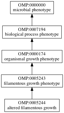 OMP:0005244