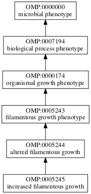 OMP:0005245