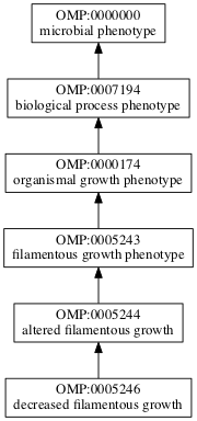 OMP:0005246