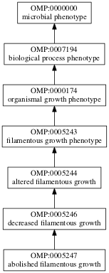 OMP:0005247