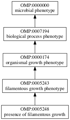 OMP:0005248