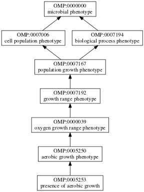 OMP:0005253