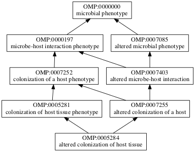 OMP:0005284