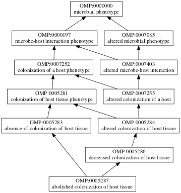 OMP:0005287