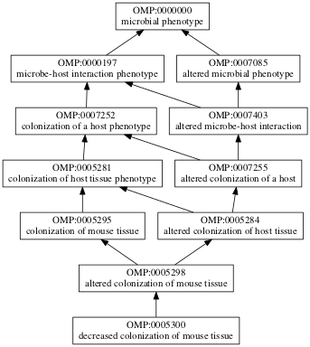 OMP:0005300