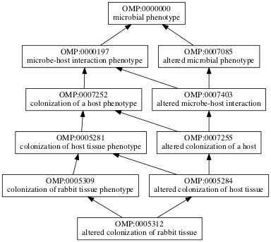 OMP:0005312