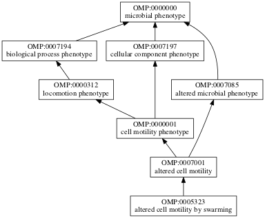 OMP:0005323