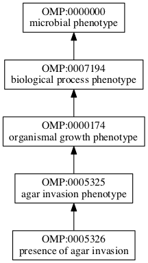 OMP:0005326
