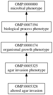 OMP:0005328