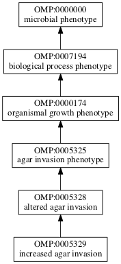 OMP:0005329