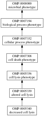 OMP:0005340