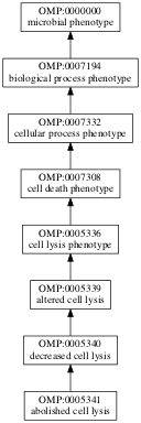 OMP:0005341