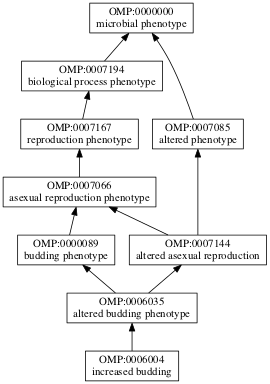 OMP:0006004