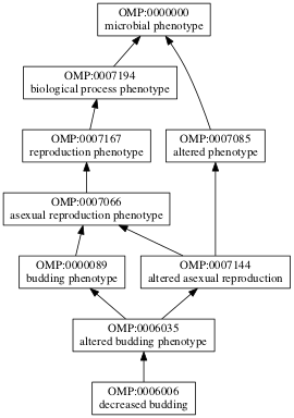OMP:0006006