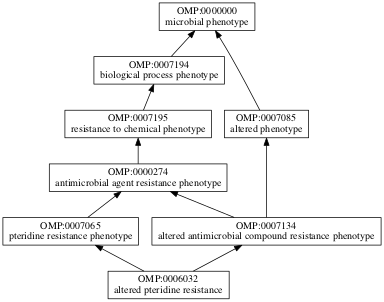 OMP:0006032