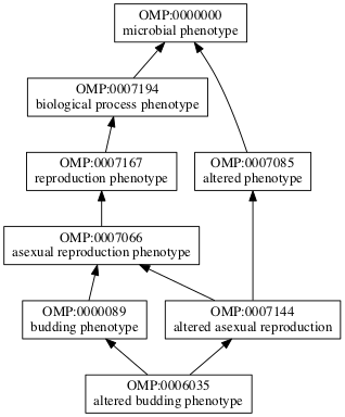 OMP:0006035