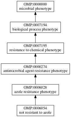 OMP:0006054