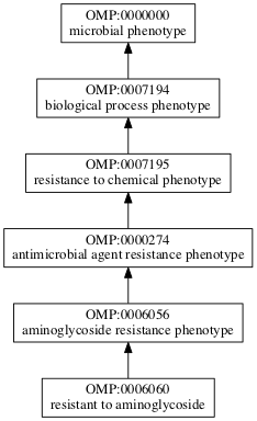 OMP:0006060