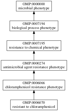 OMP:0006070