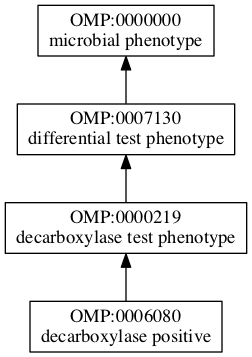 OMP:0006080