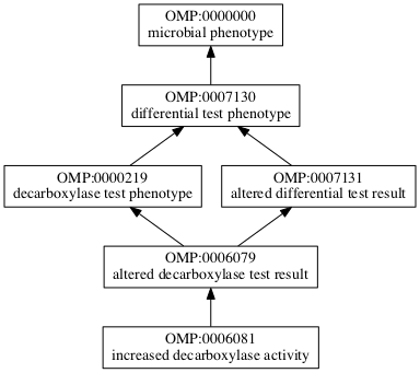 OMP:0006081