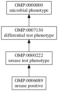 OMP:0006089