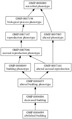 OMP:0006099