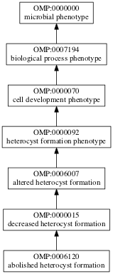 OMP:0006120