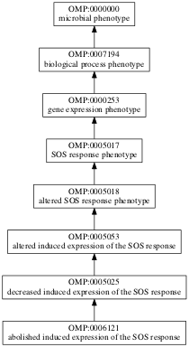 OMP:0006121